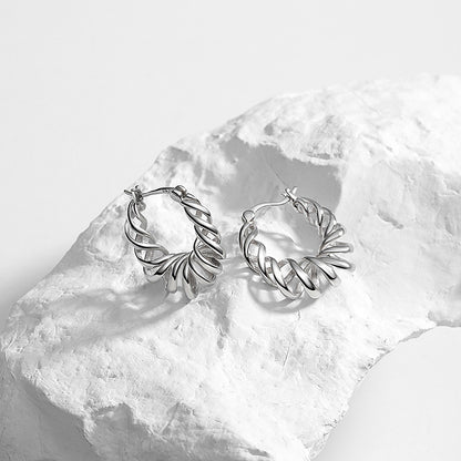 Sterling Silver Earrings Female Cold Style Personality-Jewearrings