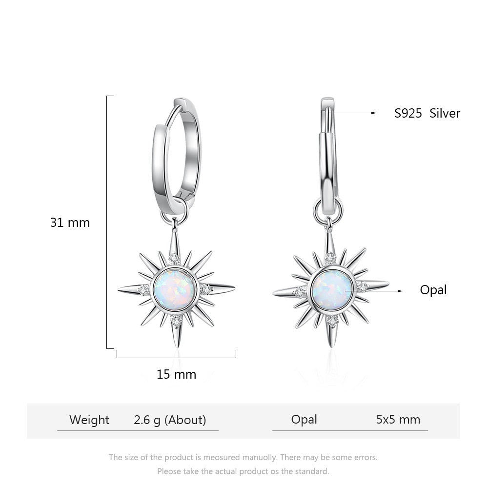 European And American Graceful And Fashionable Opal S925 Silver Earrings-Jewearrings