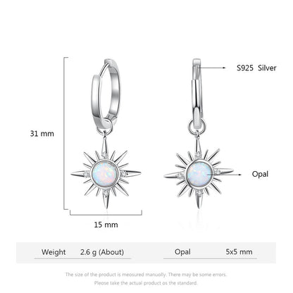 European And American Graceful And Fashionable Opal S925 Silver Earrings-Jewearrings