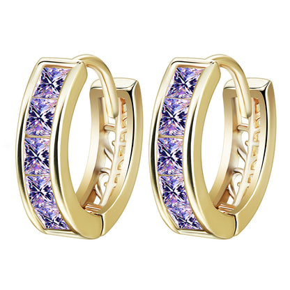 Personality Gold Inlaid With Purple Diamonds Women's Earrings-Jewearrings