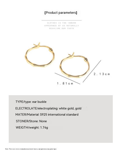 S925 Sterling Silver INS Simple Niche Irregular Convex Earrings-Jewearrings