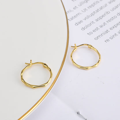 S925 Sterling Silver INS Simple Niche Irregular Convex Earrings-Jewearrings