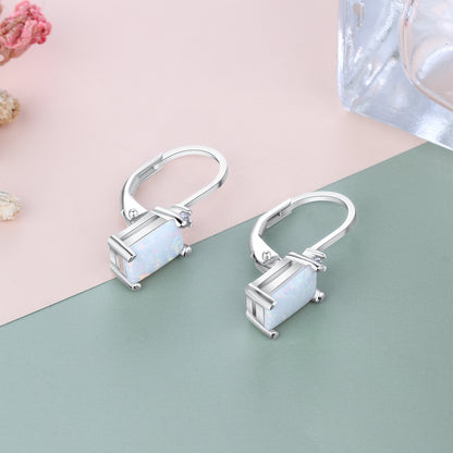 European And American Simple Earrings S925 Silver Accessories Opal Accessories-Jewearrings