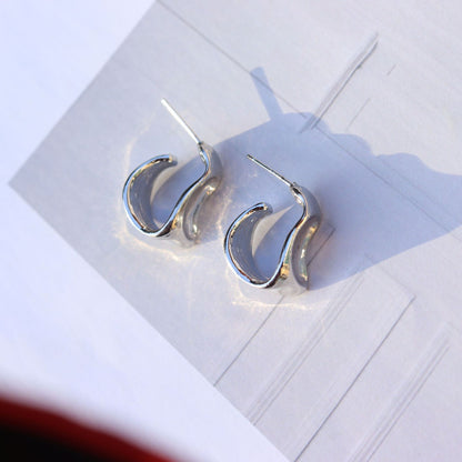 925 Silver Needle Geometric Curved Metal Earrings High Sense-Jewearrings