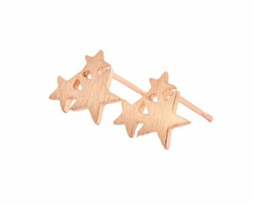 Hot Women Golden Cute Stud Earrings Carnations for Girls Animal Heart Star Earrings Minimalist Jewelry-Jewearrings