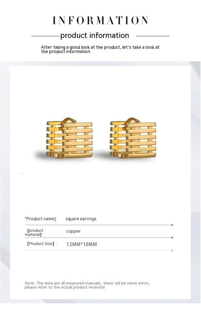 Female Special-interest Design Square Geometry Hollow Stud Earrings-Jewearrings