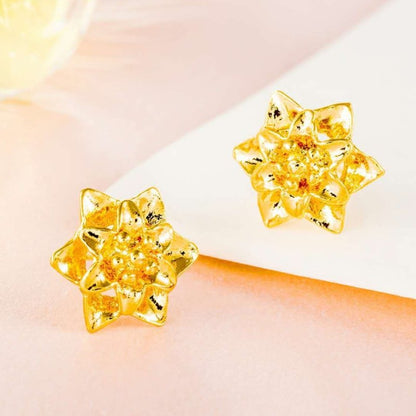 24K Gold Plated Earrings Euro Gold Jewelry New Popular Earrings-Jewearrings