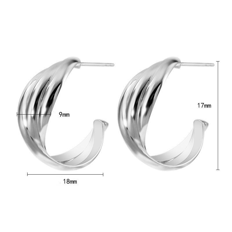 Women's Premium Niche Design Sterling Silver Stud Earrings-Jewearrings