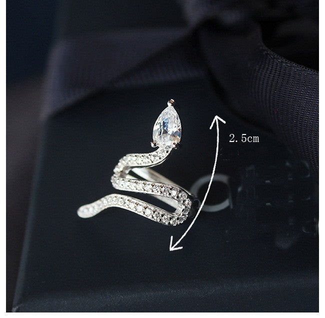 S925 Pure Silver Ear Studs Personality Female Earrings-Jewearrings