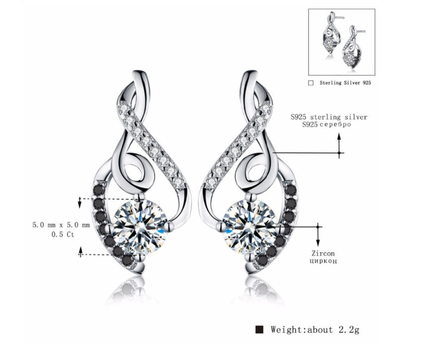 Hot S925 Sterling Silver Earrings In Europe And America-Jewearrings