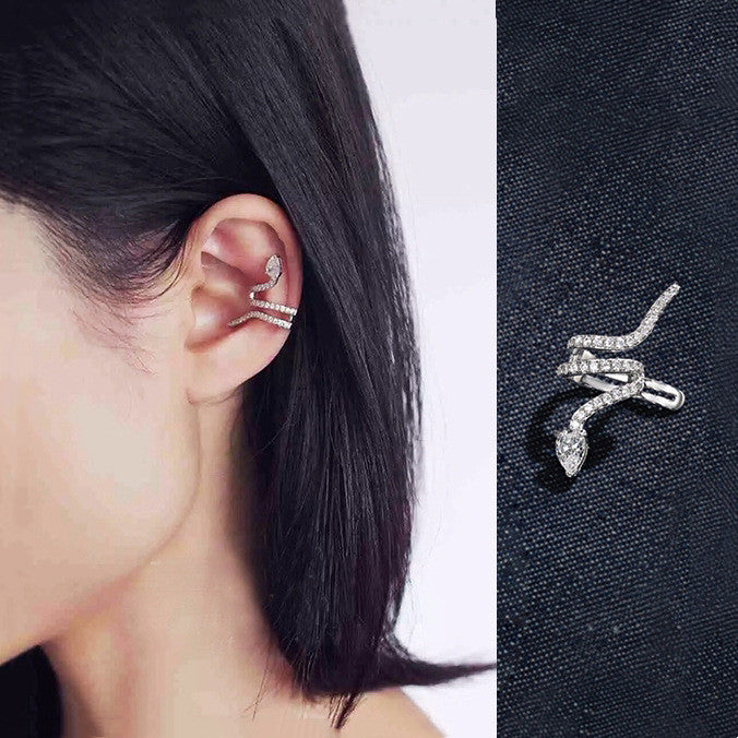 S925 Pure Silver Ear Studs Personality Female Earrings-Jewearrings