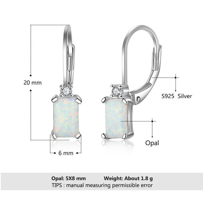 European And American Simple Earrings S925 Silver Accessories Opal Accessories-Jewearrings