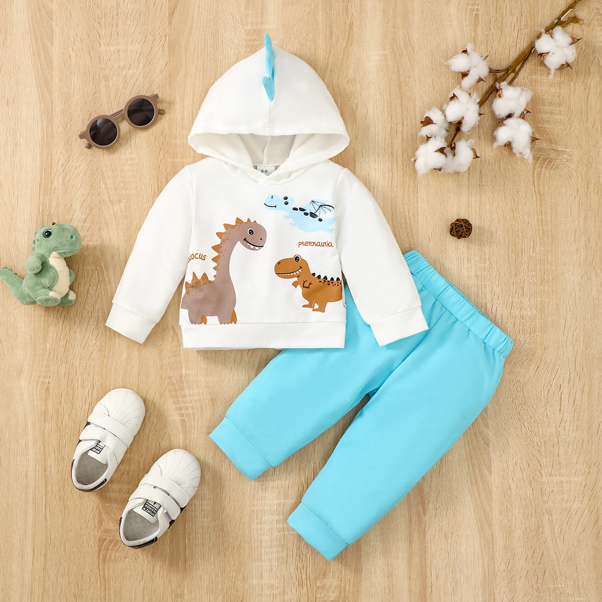 Dinosaur Graphic Hoodie and Pants Set-Jewearrings