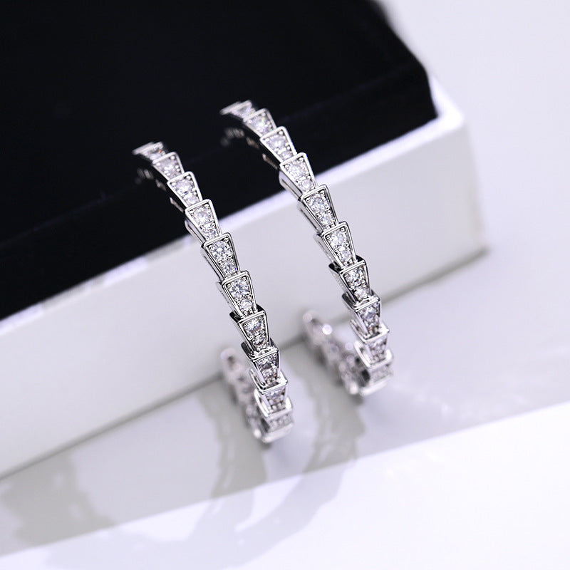 Silver Needle Zircon Serpentine Personality Cold Style Earrings-Jewearrings