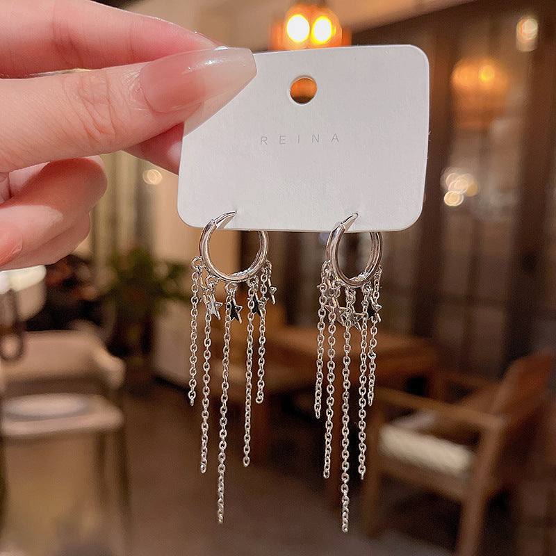 925 Silver Needle Long Fringed Zircon Earrings-Jewearrings