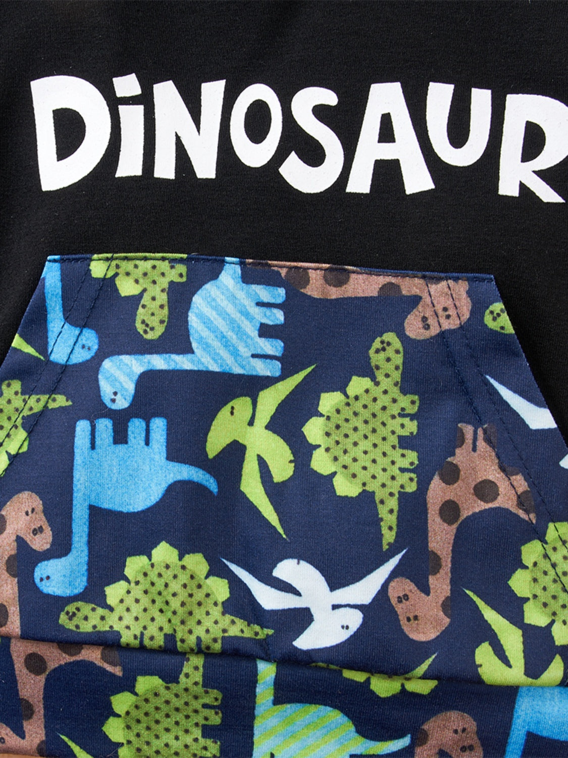 DINOSAUR Hoodie and Pants Set-Jewearrings