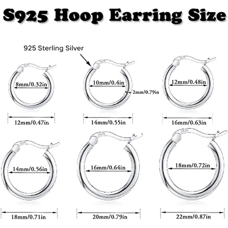 S925 Sterling Silver Earrings Female Personality Simple-Jewearrings