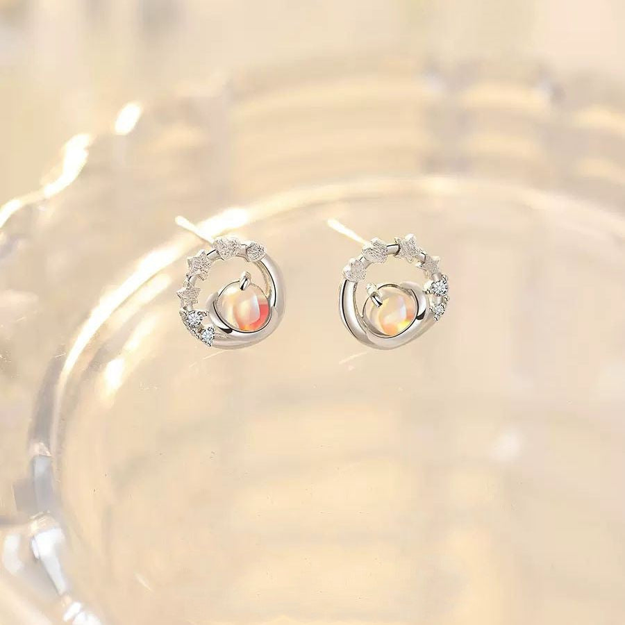 S925 Sterling Silver Stud Earrings-Jewearrings