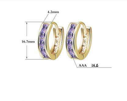 Personality Gold Inlaid With Purple Diamonds Women's Earrings-Jewearrings