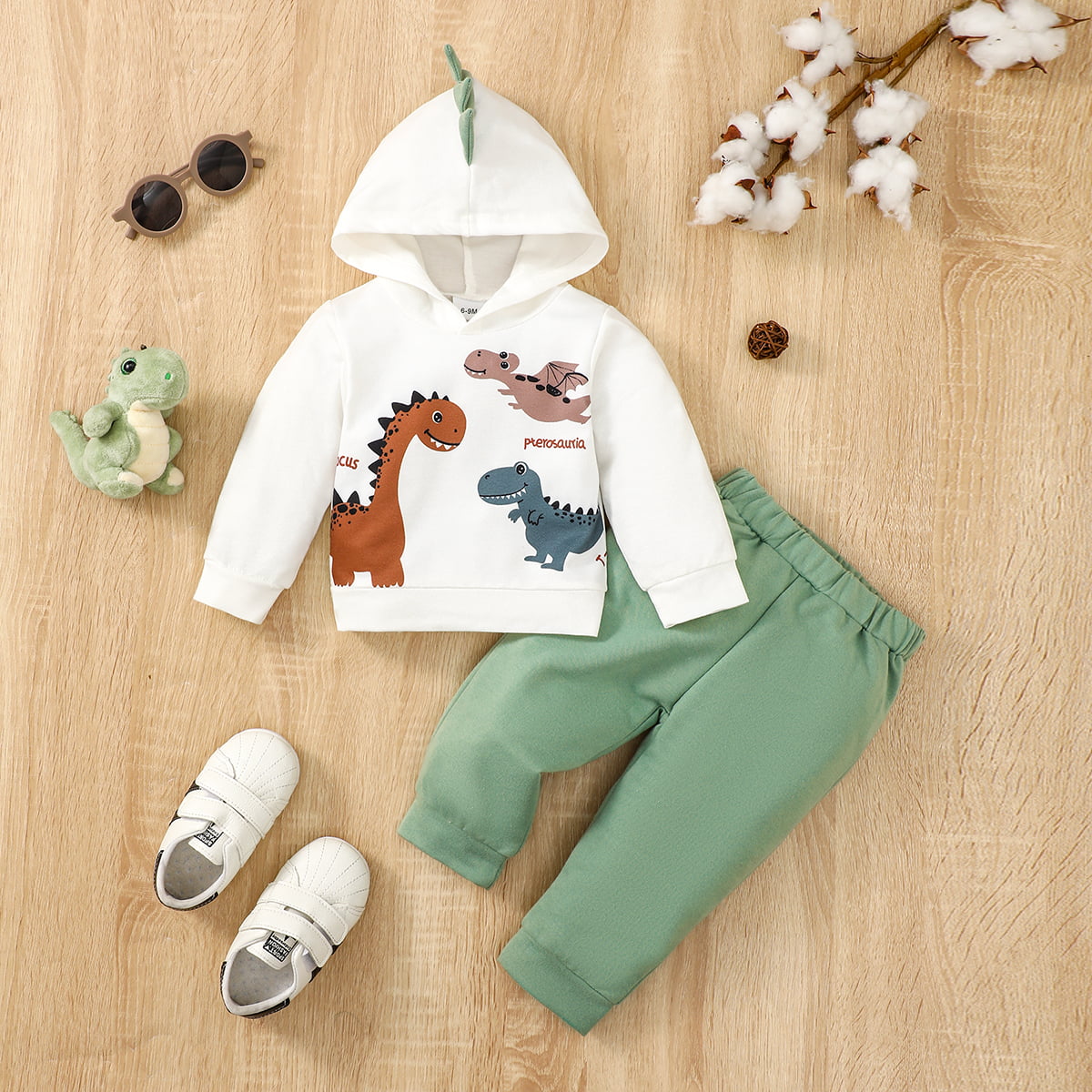 Dinosaur Graphic Hoodie and Pants Set-Jewearrings