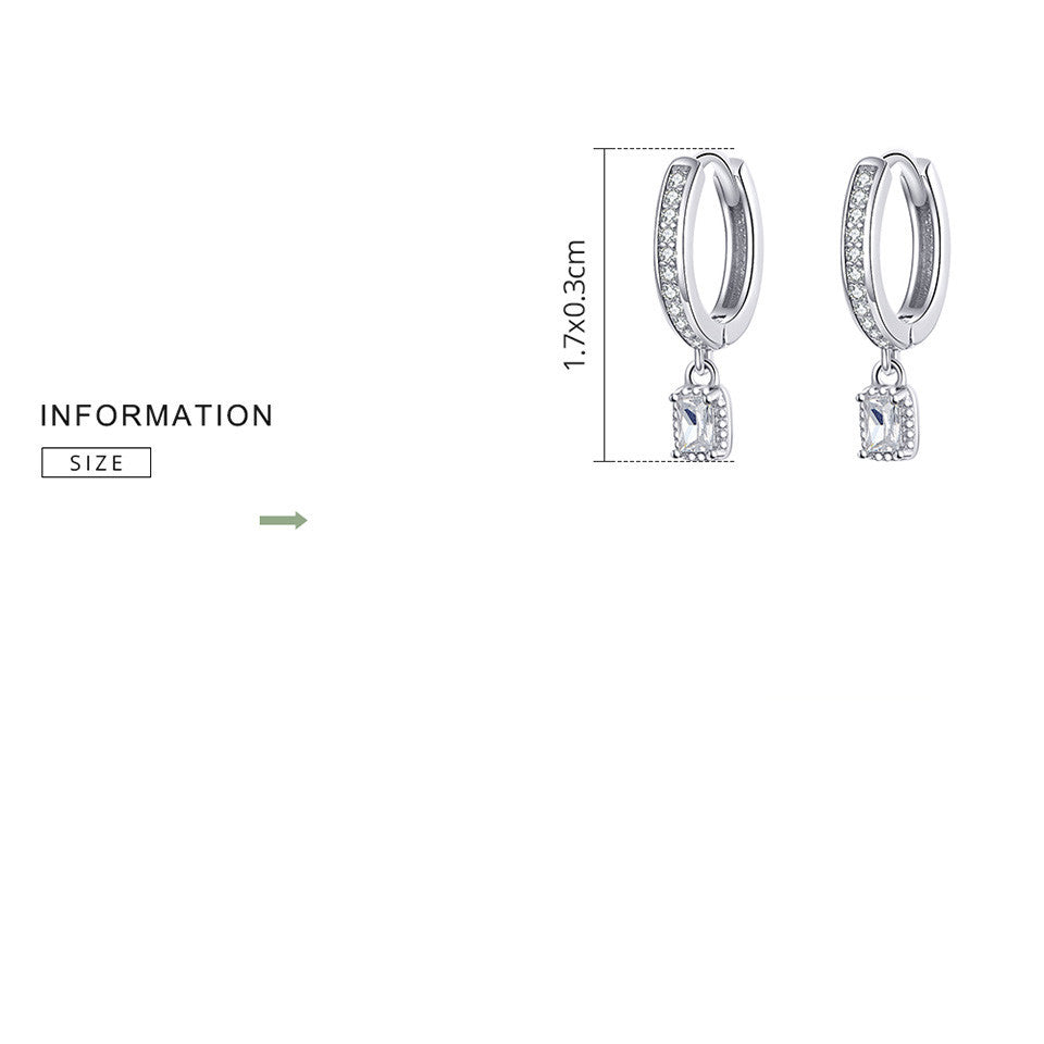 S925 Sterling Silver Fashion Zircon Earrings-Jewearrings