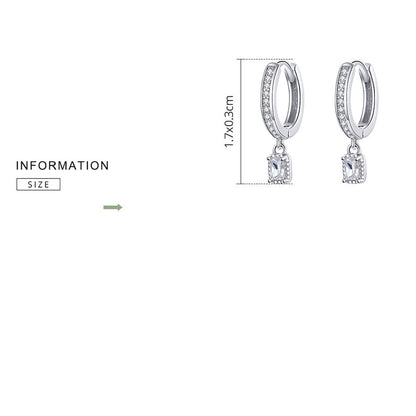 S925 Sterling Silver Fashion Zircon Earrings-Jewearrings