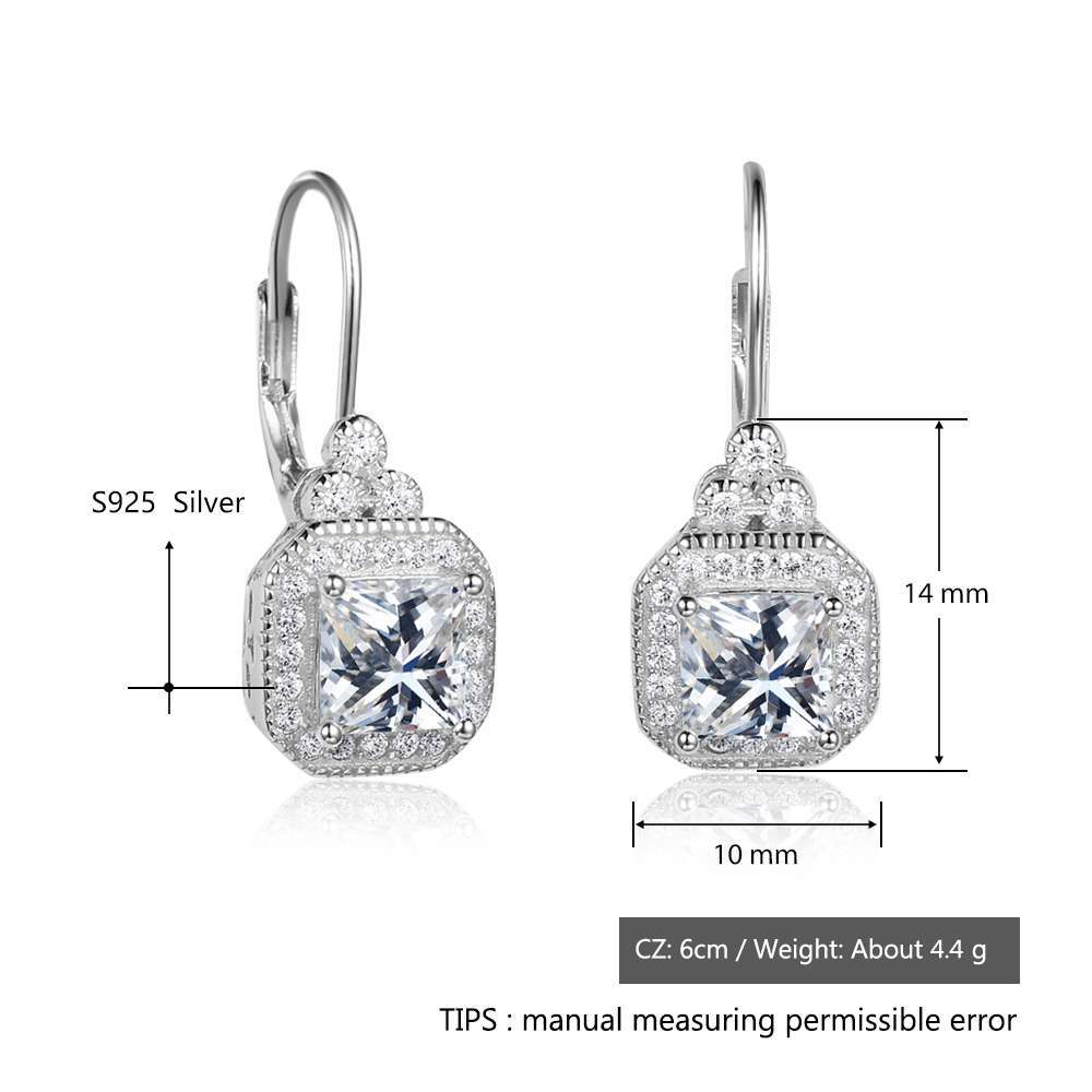 s925 sterling silver rhinestone earrings-Jewearrings