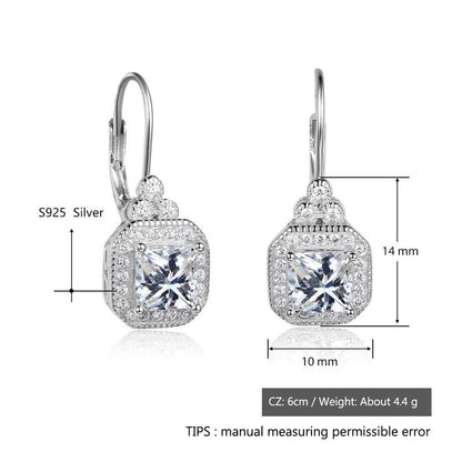 s925 sterling silver rhinestone earrings-Jewearrings