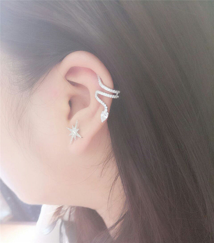 S925 Pure Silver Ear Studs Personality Female Earrings-Jewearrings