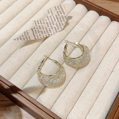 925 Silver Needle Delicate Super Shining Mesh Zircon Earrings-Jewearrings