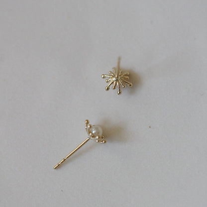 S925 Sterling Silver Plated 14K Gold Earrings-Jewearrings