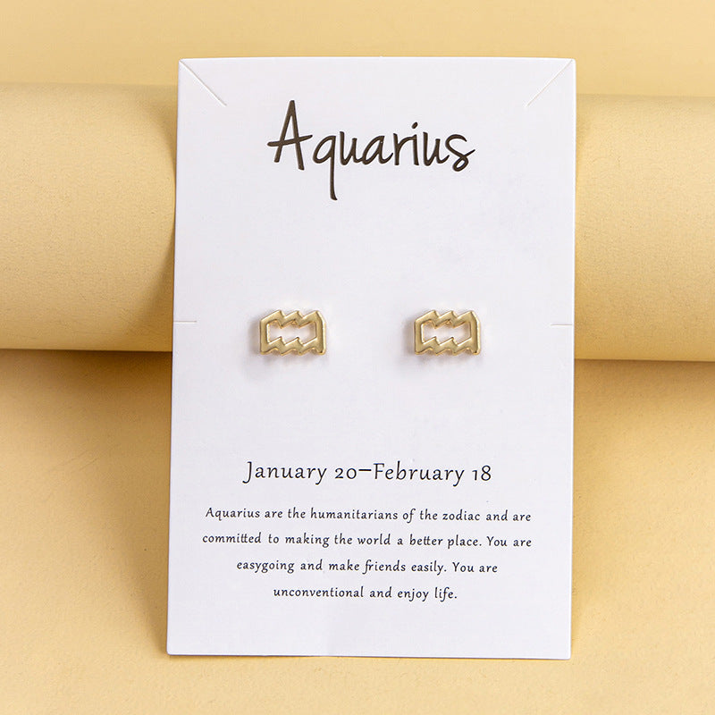 Twelve Constellation Earrings Gold And Silver 12 Zodiac-Jewearrings