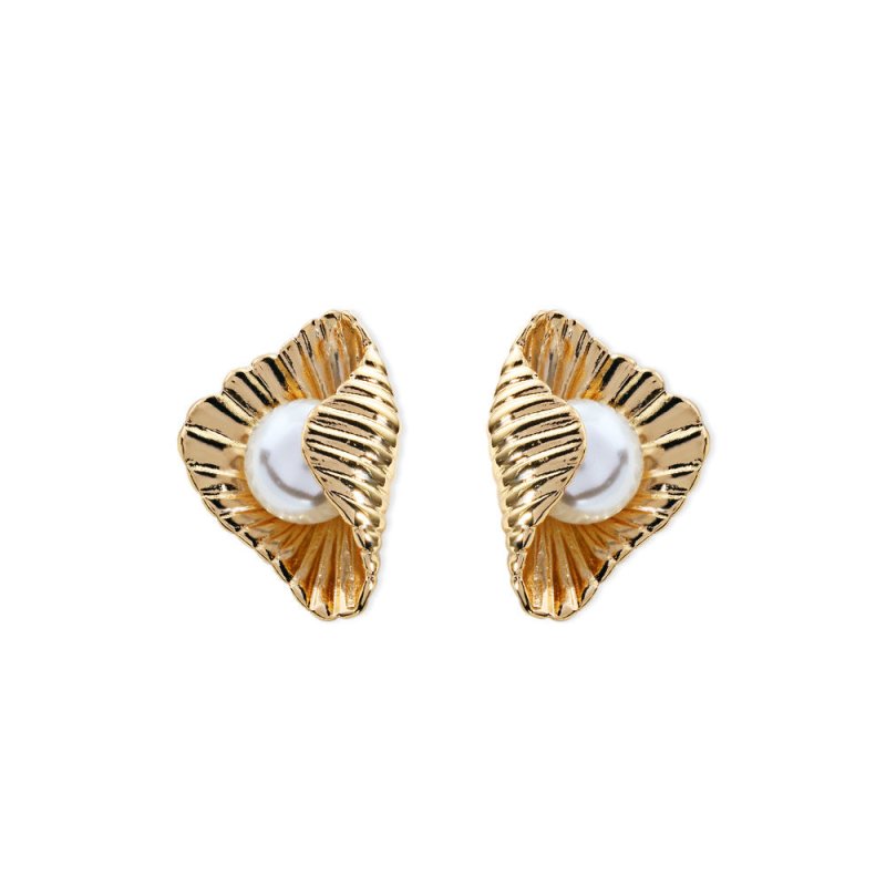 Accessories Marine Shell Pearl Stud Earrings-Jewearrings