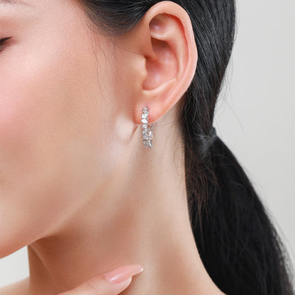 S925 Sterling Silver Irregular Zircon Earrings Women's Light Luxury Luxury-Jewearrings