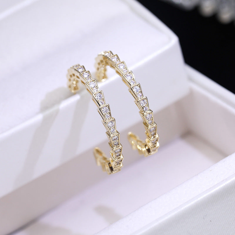 Silver Needle Zircon Serpentine Personality Cold Style Earrings-Jewearrings