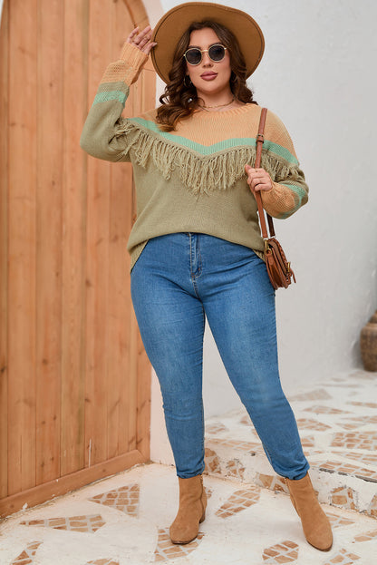 Plus Size Fringe Detail Round Neck Long Sleeve Sweater-Jewearrings