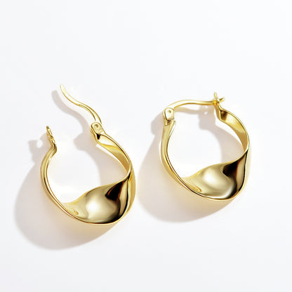 Glossy Twisted Earrings Sterling Silver Earrings-Jewearrings