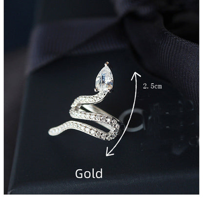 S925 Pure Silver Ear Studs Personality Female Earrings-Jewearrings