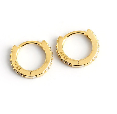 Terra Hoop Earrings-Jewearrings