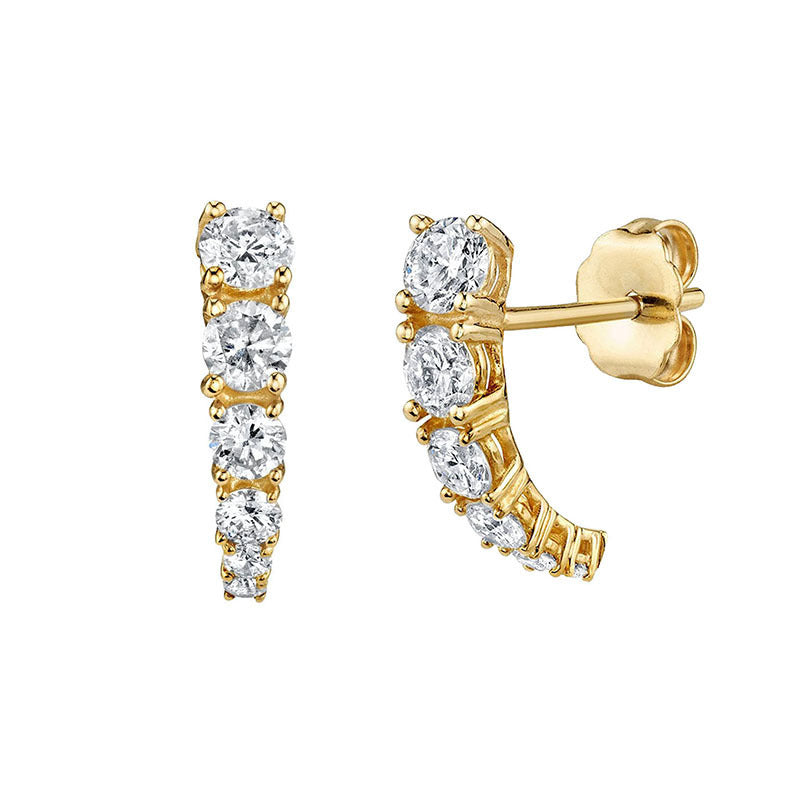 Zircon Silver Stud Earrings Female-Jewearrings