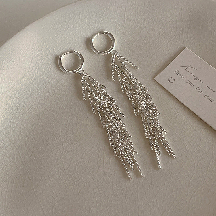 All-matching Thin-looking Earrings Silver Tassel Earrings Female Light Luxury Minority Design Sense-Jewearrings