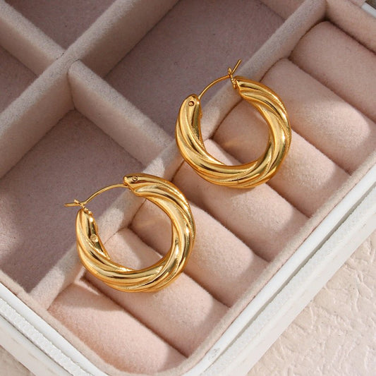 Denisse Twisted Hoop Earrings-Jewearrings