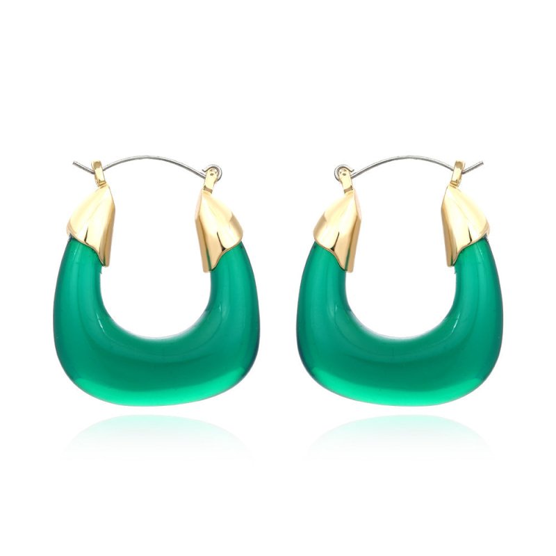 Designer Exaggerated Color Resin Earrings Retro U-shaped Acrylic Earrings Niche Cold Wind Earrings-Jewearrings