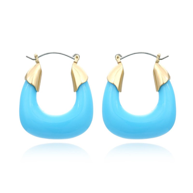 Designer Exaggerated Color Resin Earrings Retro U-shaped Acrylic Earrings Niche Cold Wind Earrings-Jewearrings