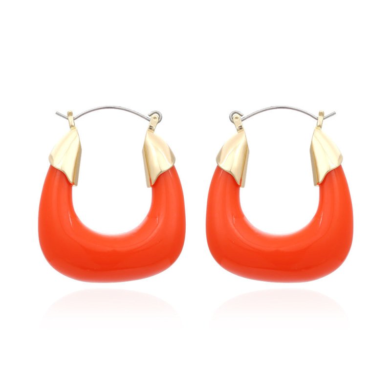 Designer Exaggerated Color Resin Earrings Retro U-shaped Acrylic Earrings Niche Cold Wind Earrings-Jewearrings