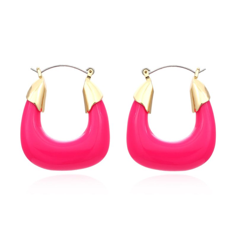 Designer Exaggerated Color Resin Earrings Retro U-shaped Acrylic Earrings Niche Cold Wind Earrings-Jewearrings