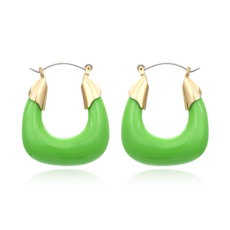 Designer Exaggerated Color Resin Earrings Retro U-shaped Acrylic Earrings Niche Cold Wind Earrings-Jewearrings