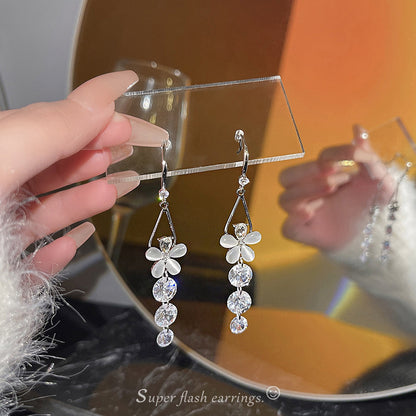 925 Silver Needle Long Fringed Zircon Earrings-Jewearrings