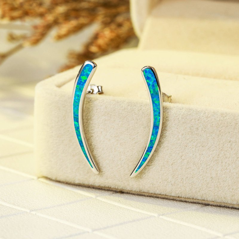 Earrings Cross Border E-Commerce Fashion Accessories European And American Pure Silver Curved Blue Aobao Earrings Women'S And Men'S Jewelry-Jewearrings