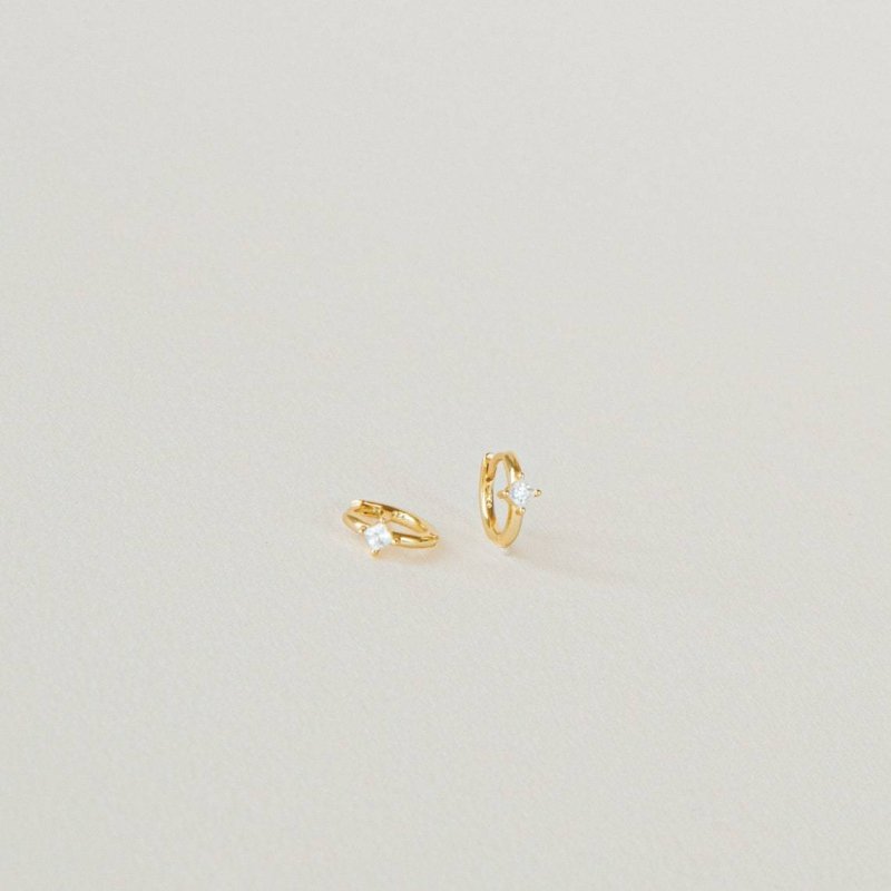 Electroplated Gold Classic Zircon Earrings-Jewearrings